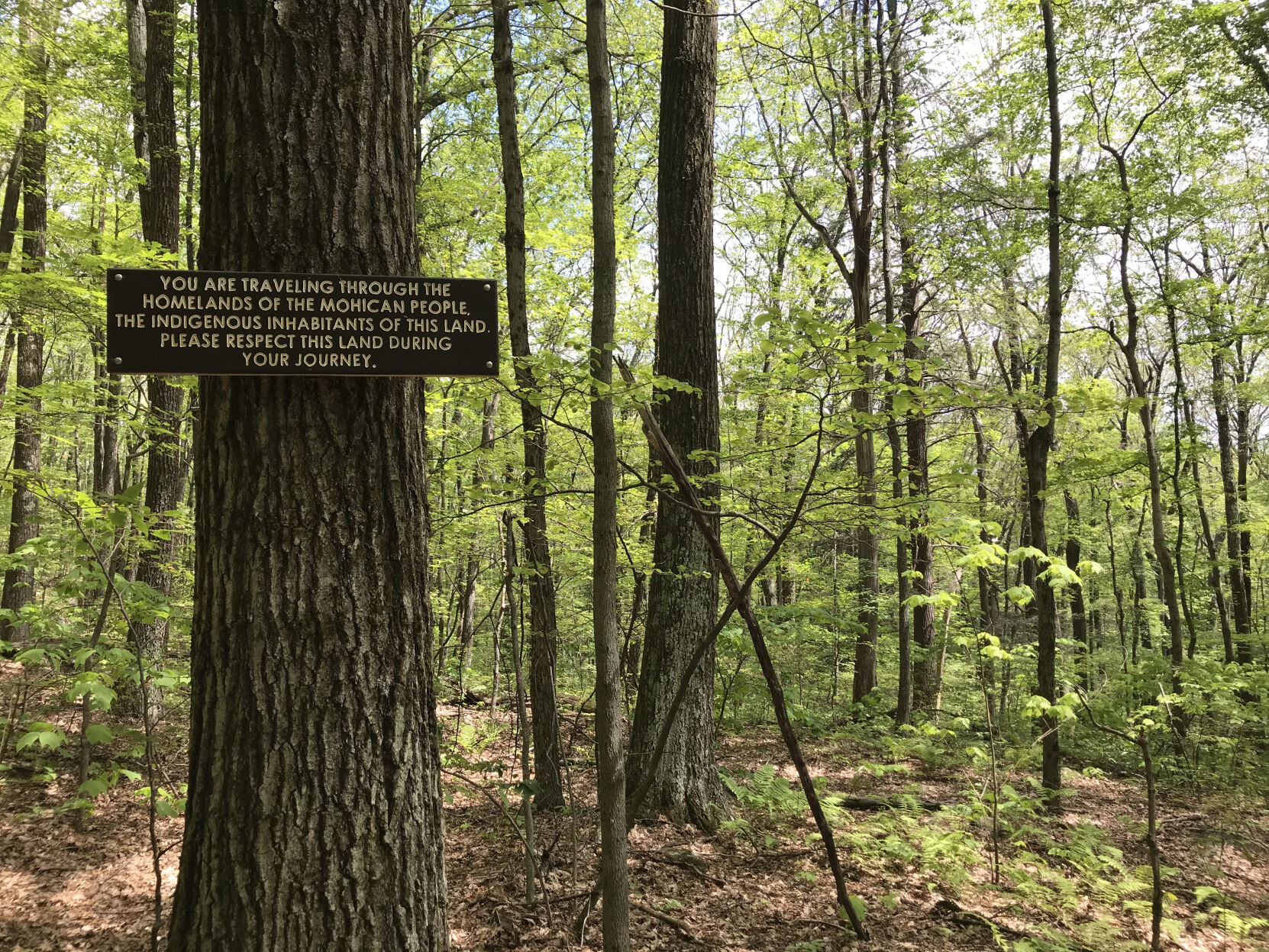 AT Mohican sign.jpg